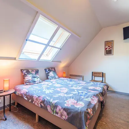 Meeuwenoord 펜션 *