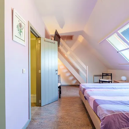 Meeuwenoord * 미들케르케