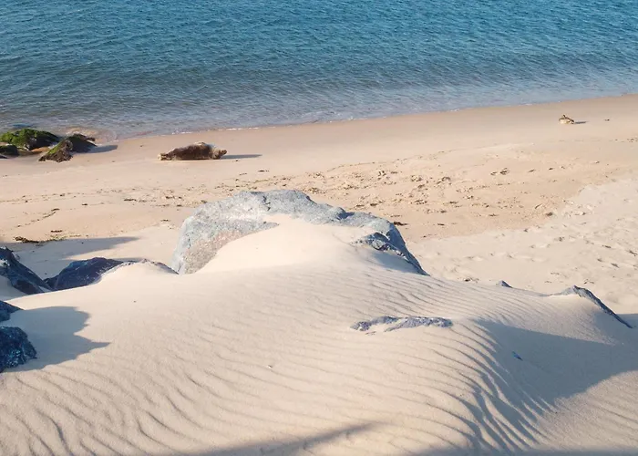 Meeuwenoord Prázdninový dům *