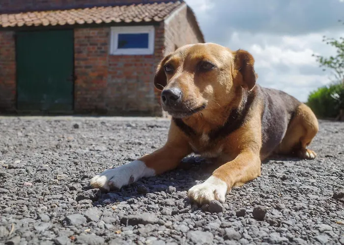 Prázdninový dům Meeuwenoord Middelkerke