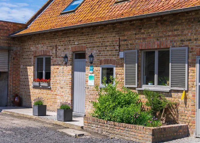 Meeuwenoord * Middelkerke